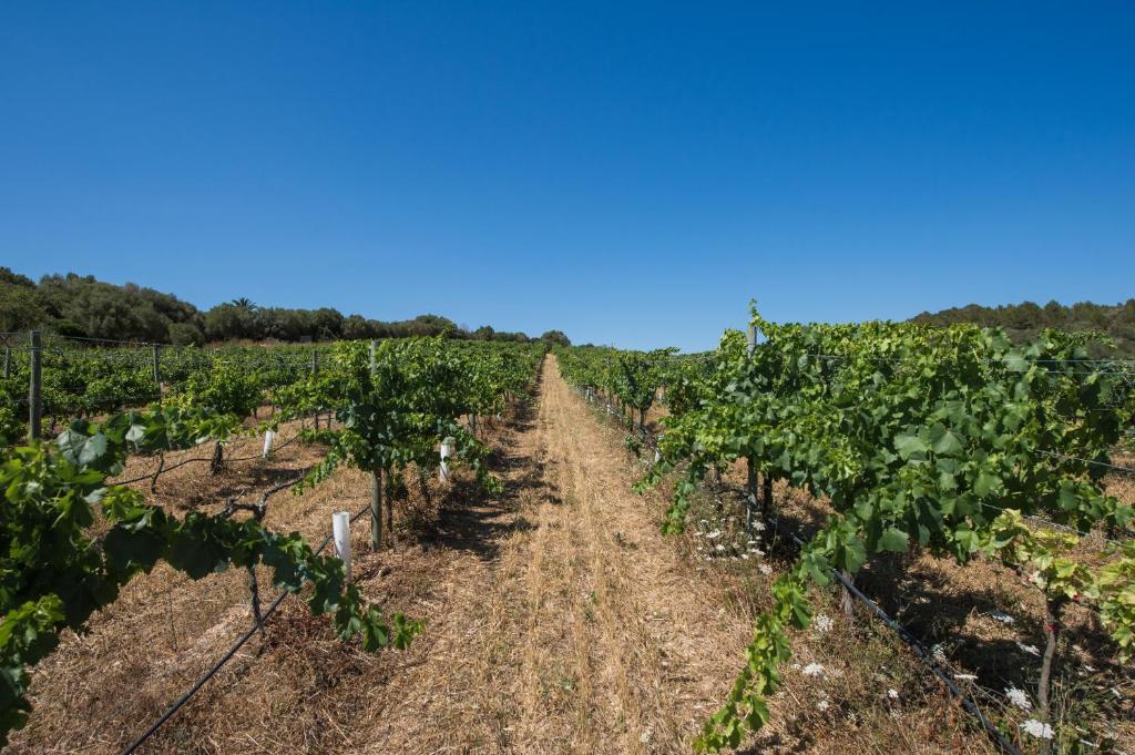פוררס Agroturismo Can Feliu מראה חיצוני תמונה