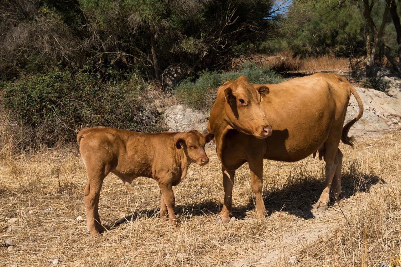 פוררס Agroturismo Can Feliu מראה חיצוני תמונה